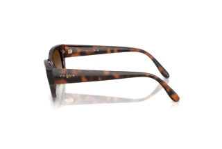 Vue latérale Vogue Eyewear VO5669S (271813)