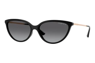 Vue de face Vogue Eyewear VO5672S (W44/T3)