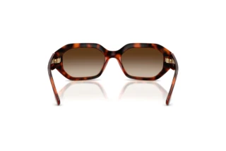 Vue arrière Vogue Eyewear VO5675S (W65613)