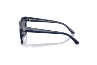 Vue latérale Vogue Eyewear VO5690S (22884L)
