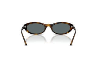 Vue arrière Vogue Eyewear VO5697SU (W65681)