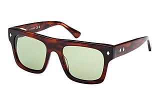 Web Eyewear WE0354 56N grünDunkel Havanna