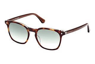 Web Eyewear WE0364 56P grün verlaufendHavanna/Einfarbig