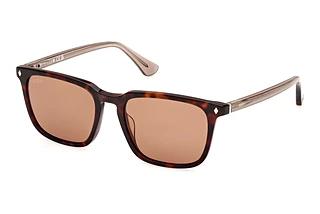 Web Eyewear WE0369 56E braunRot Havanna