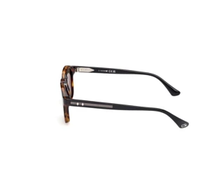 Vue latérale Web Eyewear WE0384 (55N)