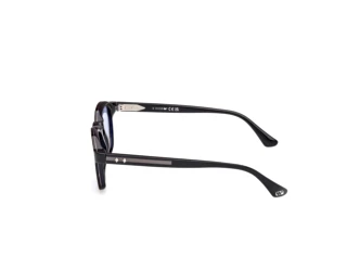 Vue latérale Web Eyewear WE0384 (56V)
