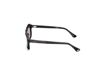 Vue latérale Web Eyewear WE0389 (01E)