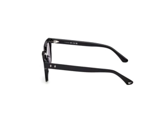 Vue latérale Web Eyewear WE0391 (01A)