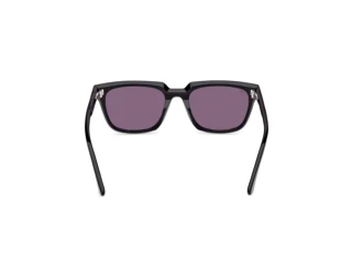 Vue arrière Web Eyewear WE0391 (01A)