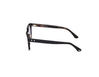 Vue latérale Web Eyewear WE0391 (05V)