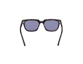 Vue arrière Web Eyewear WE0391 (05V)
