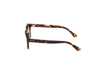 Vue latérale Web Eyewear WE0392 (55E)
