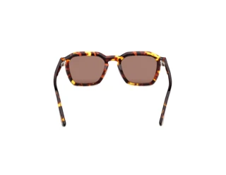 Vue arrière Web Eyewear WE0392 (55E)