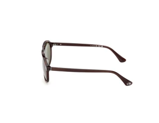 Vue latérale Web Eyewear WE0394 (56N)