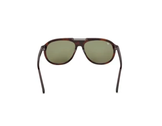 Vue arrière Web Eyewear WE0394 (56N)