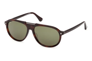 Vue de face Web Eyewear WE0394 (56N)