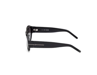 Vue latérale Web Eyewear WE0399 (01A)