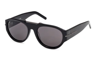 Vue de face Web Eyewear WE0399 (01A)