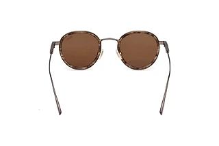 Vue arrière Zegna EZ0276 (50E)