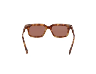 Vue arrière Zegna EZ0312 (55E)