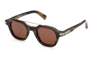 Vue de face Zegna EZ0319 (51E)