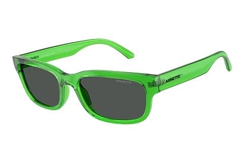 Lunettes de soleil Arnette DEFYER (AN4363 301487)