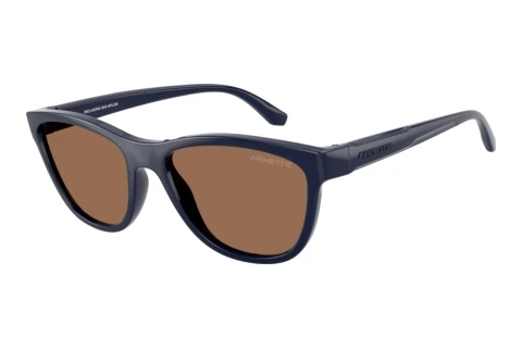 Lunettes de soleil Arnette AN4379 276273