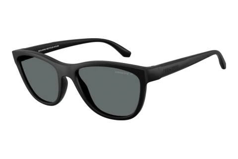 Lunettes de soleil Arnette AN4379 290081
