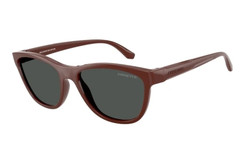 Lunettes de soleil Arnette AN4379 304887