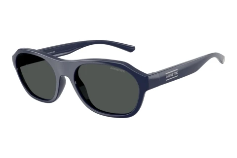 Lunettes de soleil Arnette AN4380 275487