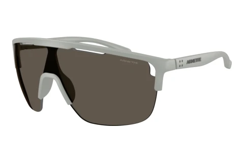Lunettes de soleil Arnette AN4381 3049/1
