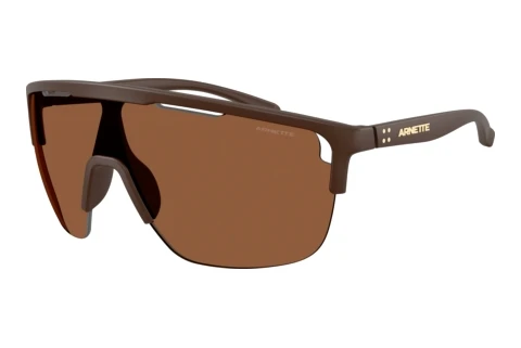 Lunettes de soleil Arnette AN4381 3050/2