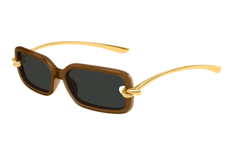 Lunettes de soleil Bottega Veneta BV1439S 005