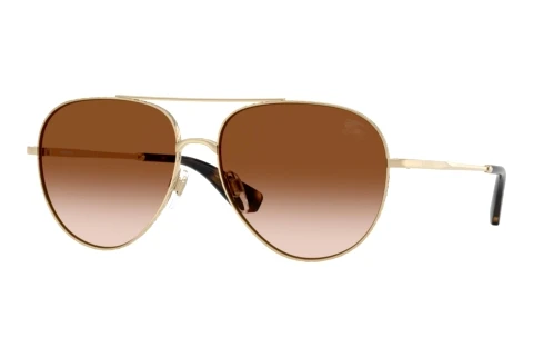 Lunettes de soleil Burberry BE3172 110913