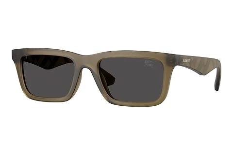 Lunettes de soleil Burberry BE4475U 421287