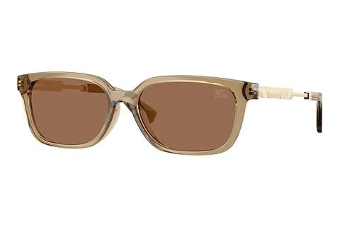 Lunettes de soleil Burberry BE4481D 419873