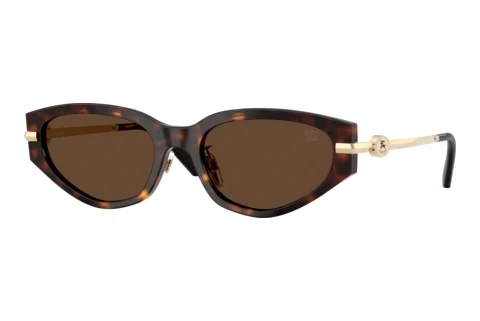 Lunettes de soleil Burberry BE4493D 300273
