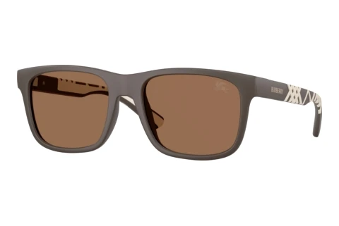 Lunettes de soleil Burberry BE4499U 423473