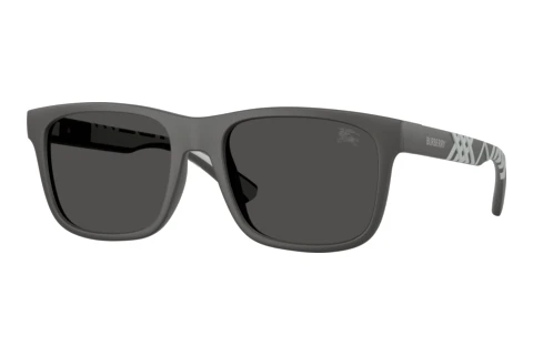 Lunettes de soleil Burberry BE4499U 426487