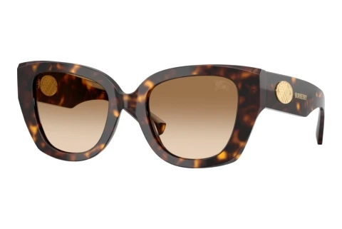 Lunettes de soleil Burberry BE4503 300289