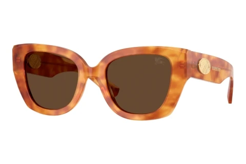 Lunettes de soleil Burberry BE4503 425673