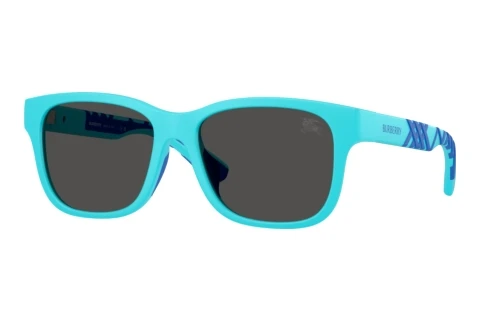 Lunettes de soleil Burberry JB4007U 423587