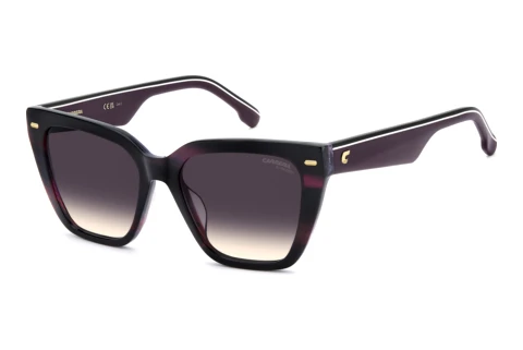 Lunettes de soleil Carrera CA 3108/G/S 7FF/UM