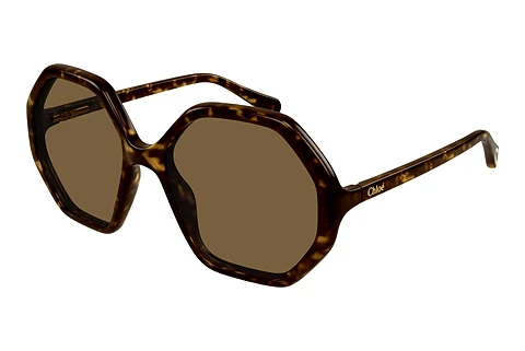 Lunettes de soleil Chloé CC0004S 008