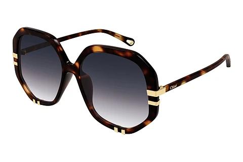 Lunettes de soleil Chloé CH0105S 004