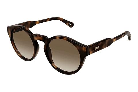 Lunettes de soleil Chloé CH0158S 002