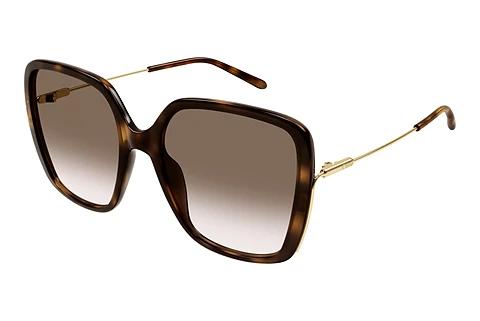 Lunettes de soleil Chloé CH0173S 002