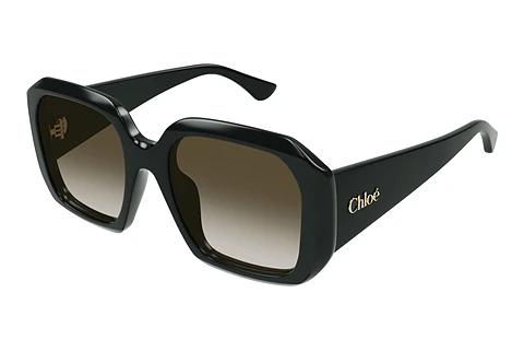 Lunettes de soleil Chloé CH0300S 003