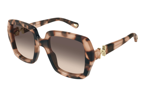 Lunettes de soleil Chloé CH0301S 006