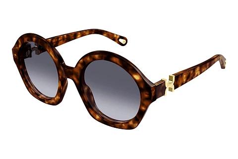 Lunettes de soleil Chloé CH0302S 002